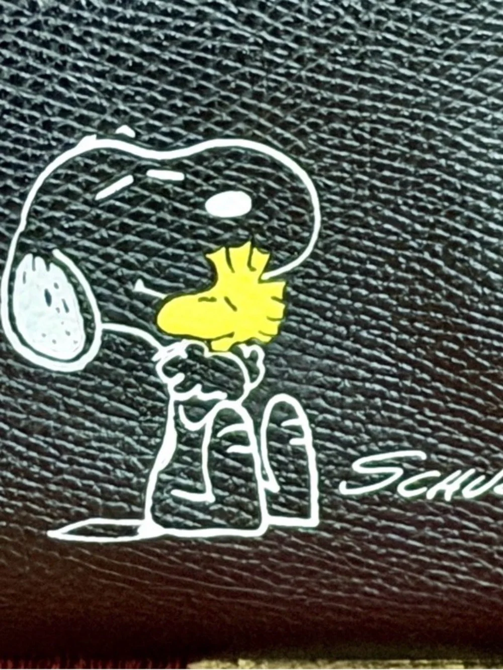 Coach peanuts mini